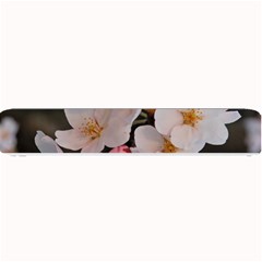 Sakura Small Bar Mats