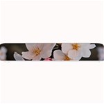 SAKURA Small Bar Mats 24 x4  Bar Mat