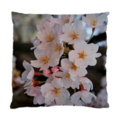 Sakura Standard Cushion Case (one Side)  by trendistuff