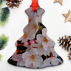 Sakura Ornament (christmas Tree)