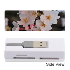 Sakura Memory Card Reader (stick) 