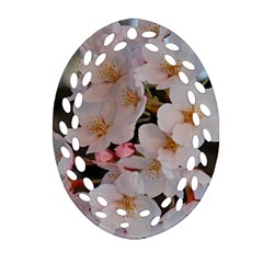 Sakura Oval Filigree Ornament (2-side)  by trendistuff