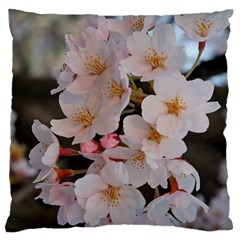 Sakura Large Cushion Cases (one Side)  by trendistuff