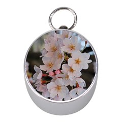 Sakura Mini Silver Compasses