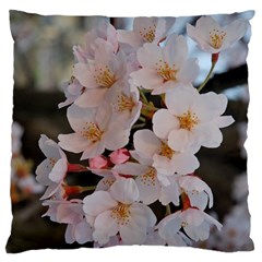 Sakura Large Flano Cushion Cases (one Side)  by trendistuff