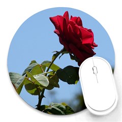 Red Rose 2 Round Mousepads by trendistuff