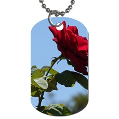 Red Rose 2 Dog Tag (two Sides) by trendistuff