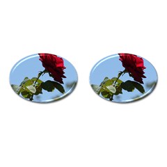 Red Rose 2 Cufflinks (oval) by trendistuff