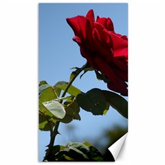 Red Rose 2 Canvas 40  X 72  