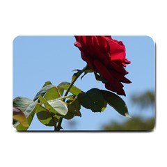 Red Rose 2 Small Doormat 