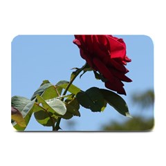 Red Rose 2 Plate Mats