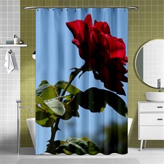 Red Rose 2 Shower Curtain 48  X 72  (small) 