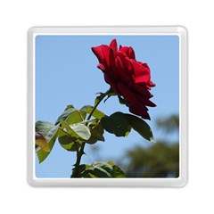 Red Rose 2 Memory Card Reader (square) 