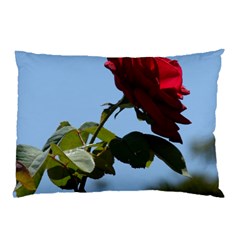 Red Rose 2 Pillow Cases (two Sides)