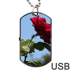 Red Rose 2 Dog Tag Usb Flash (one Side)