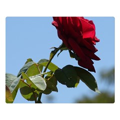 Red Rose 2 Double Sided Flano Blanket (large) 