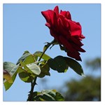 RED ROSE 2 Large Satin Scarf (Square) Front