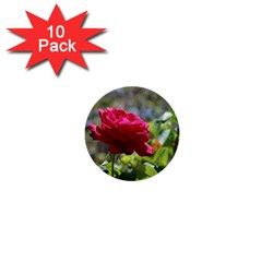 Red Rose 1 1  Mini Buttons (10 Pack)  by trendistuff