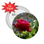 RED ROSE 1 2.25  Buttons (10 pack)  Front