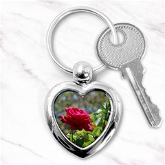 Red Rose 1 Key Chains (heart)  by trendistuff