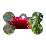 RED ROSE 1 Dog Tag Bone (Two Sides) Front