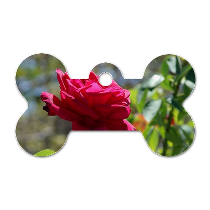 RED ROSE 1 Dog Tag Bone (Two Sides)