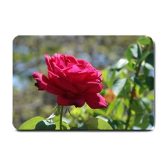 Red Rose 1 Small Doormat  by trendistuff