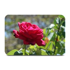 Red Rose 1 Plate Mats