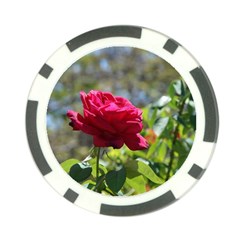 Red Rose 1 Poker Chip Card Guards (10 Pack)  by trendistuff