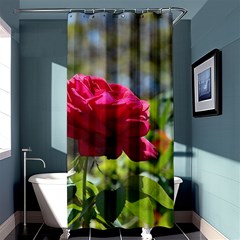 Red Rose 1 Shower Curtain 36  X 72  (stall) 