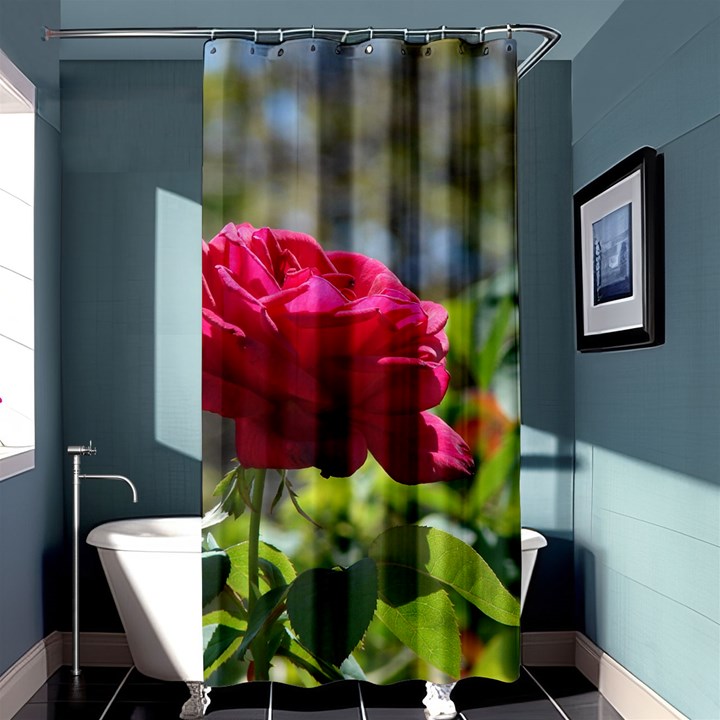 RED ROSE 1 Shower Curtain 36  x 72  (Stall) 