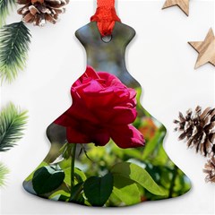 Red Rose 1 Ornament (christmas Tree)