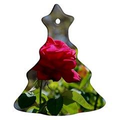 Red Rose 1 Christmas Tree Ornament (2 Sides) by trendistuff