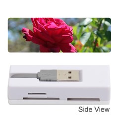 Red Rose 1 Memory Card Reader (stick) 