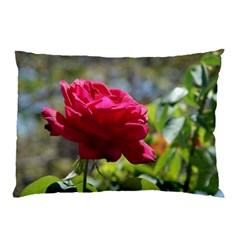 Red Rose 1 Pillow Cases (two Sides)