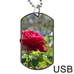 Red Rose 1 Dog Tag Usb Flash (two Sides) 