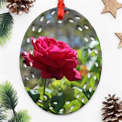 Red Rose 1 Oval Filigree Ornament (2-side) 