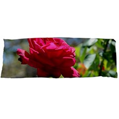 Red Rose 1 Body Pillow Cases Dakimakura (two Sides) 