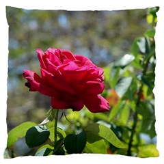 Red Rose 1 Large Cushion Cases (two Sides)  by trendistuff