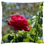 RED ROSE 1 Standard Flano Cushion Cases (Two Sides)  Back