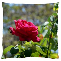 Red Rose 1 Large Flano Cushion Cases (one Side)  by trendistuff