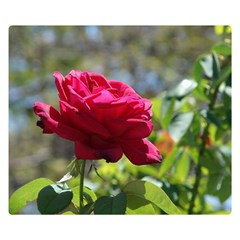 Red Rose 1 Double Sided Flano Blanket (small)  by trendistuff