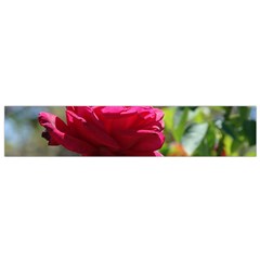 Red Rose 1 Flano Scarf (small) 