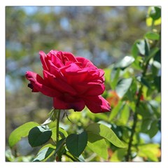 Red Rose 1 Large Satin Scarf (square)