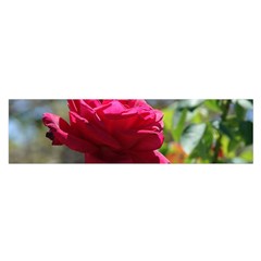 Red Rose 1 Satin Scarf (oblong)