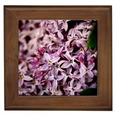 Purple Lilacs Framed Tiles by trendistuff