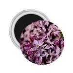 PURPLE LILACS 2.25  Magnets