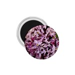 PURPLE LILACS 1.75  Magnets