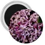 PURPLE LILACS 3  Magnets