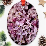 PURPLE LILACS Ornament (Oval) 